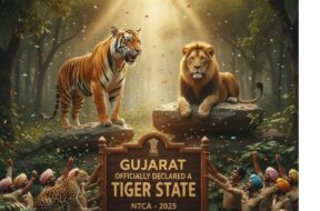 Untitled design (14)