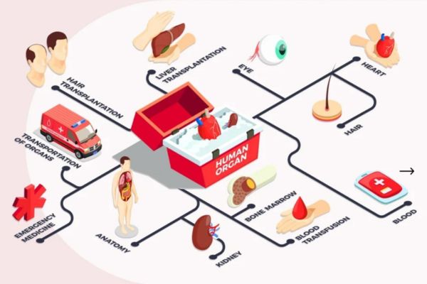 organ donation activity Dilipbhai Deshmukh