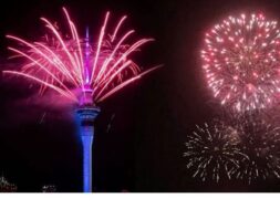 Untitled design (41)