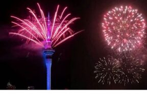 Untitled design (41)