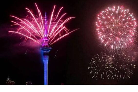 Untitled design (41)