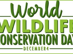 વન્યજીવન સંરક્ષણ દિવસ