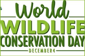 વન્યજીવન સંરક્ષણ દિવસ