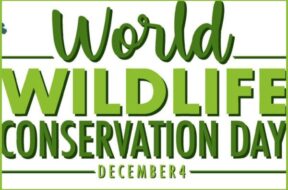 વન્યજીવન સંરક્ષણ દિવસ