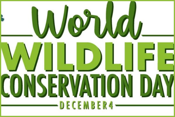 વિશ્વ વન્યજીવ સંરક્ષણ દિવસઃ રાજ્યમાં ૨૦૨૫માં સિંહની સંખ્યા વધીને ૮૯૧ નોંધાઈ