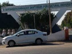 dantiwada krushu uni,