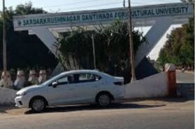 dantiwada krushu uni,