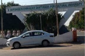 dantiwada krushu uni,