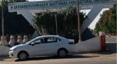 dantiwada krushu uni,