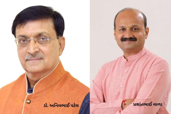 ભાજપના મુખ્ય પ્રવક્તા ડૉ. અનિલ પટેલ અને મીડિયા ઈન્ચાર્જ પ્રશાંત વાળાએ કાર્યભાર સંભાળ્યો