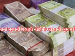 નાનાં મૂલ્યની ચલણી નોટોની અછતની બૂમ પડી