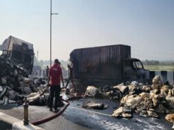 Accident, tarapur highway