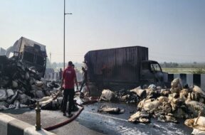 Accident, tarapur highway