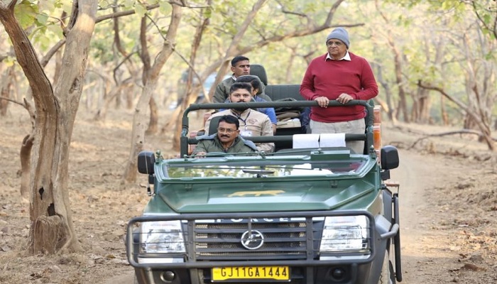 મુખ્યમંત્રી ભૂપેન્દ્ર પટેલે સાસણગીર સફારીમાં વિહાર કરતા સિંહોનો નજારો માણ્યો