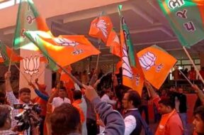 Announcement of executive members and special invitees in Gujarat BJP