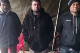 Untitled design (44)