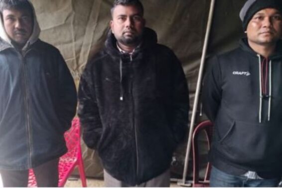 Untitled design (44)