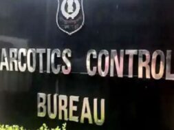 Untitled design (45)