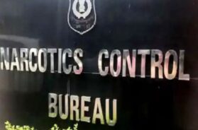 Untitled design (45)