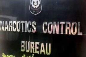 Untitled design (45)