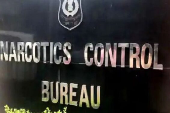 Untitled design (45)