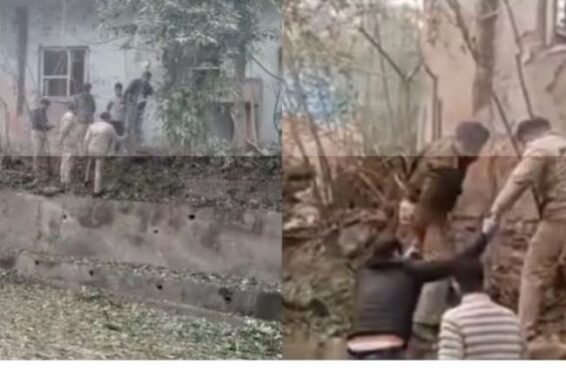 Untitled design (46)