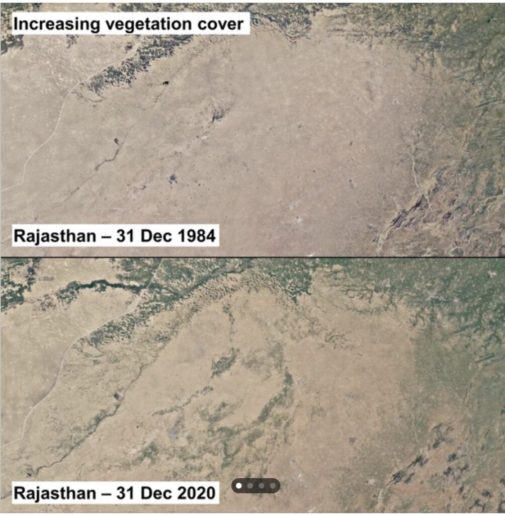 The king who turned the desert into a forest