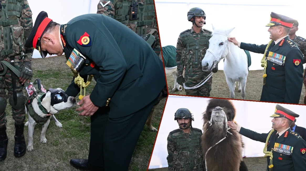 ભારતીય સેનાના મૂક યોદ્ધા શ્વાન, ધોડા અને ઊંટનું વિશેષ સન્માન કરાયું