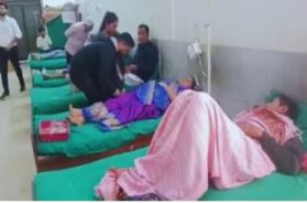 bumblebee attack, wedding