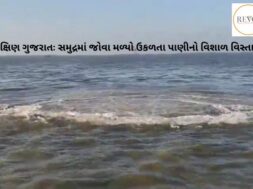 Large area of ​​boiling water seen in the sea