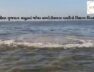 Large area of ​​boiling water seen in the sea