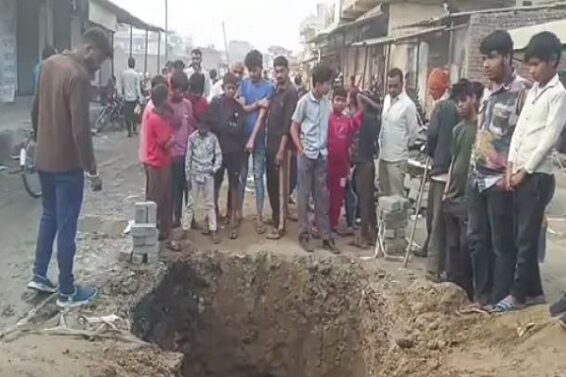 AMC, 2 COWS DIE, FALLINF IN TO A PIT