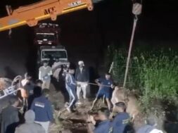 Amreli, the bull was pulled out of the well