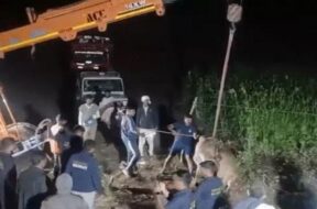 Amreli, the bull was pulled out of the well