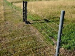 Electric shock, farm