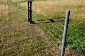 Electric shock, farm