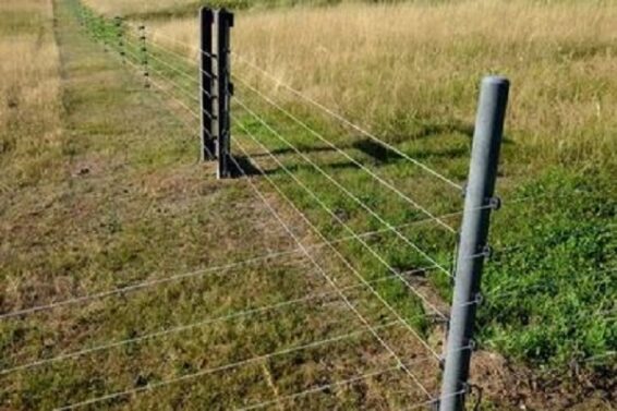 Electric shock, farm