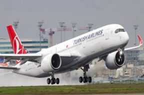 Nepal-Istanbul flight