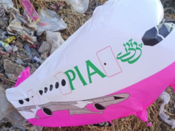 PIA