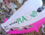 PIA