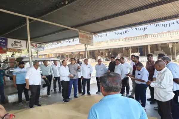 પાલનપુર યાર્ડમાં રાજગરાની ધૂમ આવક,પ્રતિ 20 કિલોના 1700નો ભાવ મળ્યો