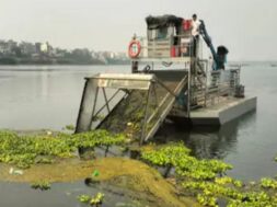 Tapi river, cleaning