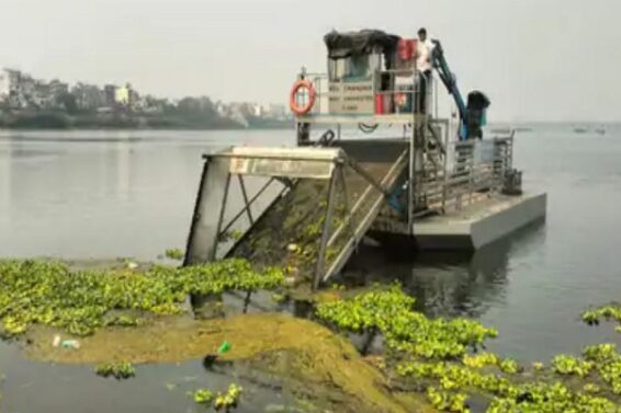 Tapi river, cleaning