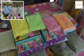 special natural colors for Holi