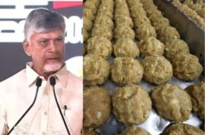 Chief Minister Chandrababu Naidu’s alarming claim regarding Tirupati’s Prasad laddu