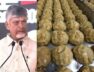 Chief Minister Chandrababu Naidu’s alarming claim regarding Tirupati’s Prasad laddu