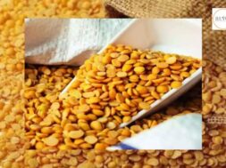 Purchase of tur at support price