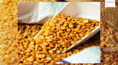 Purchase of tur at support price