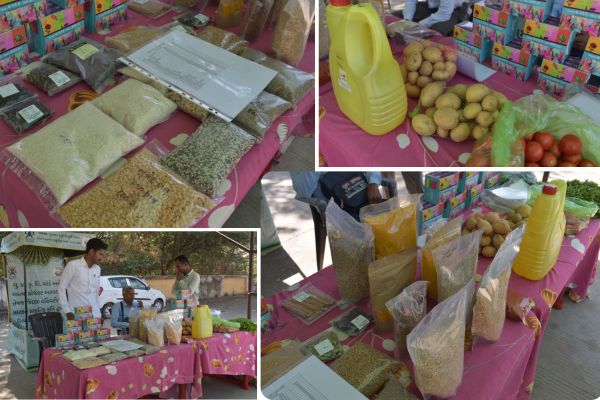 natural farm products in Modasa