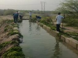patadi, canal